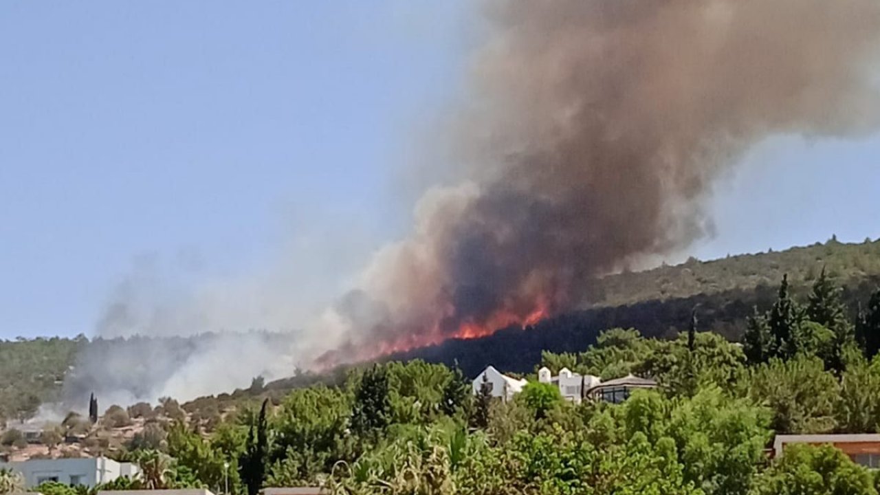 BODRUM’DA ORMAN YANGINI
