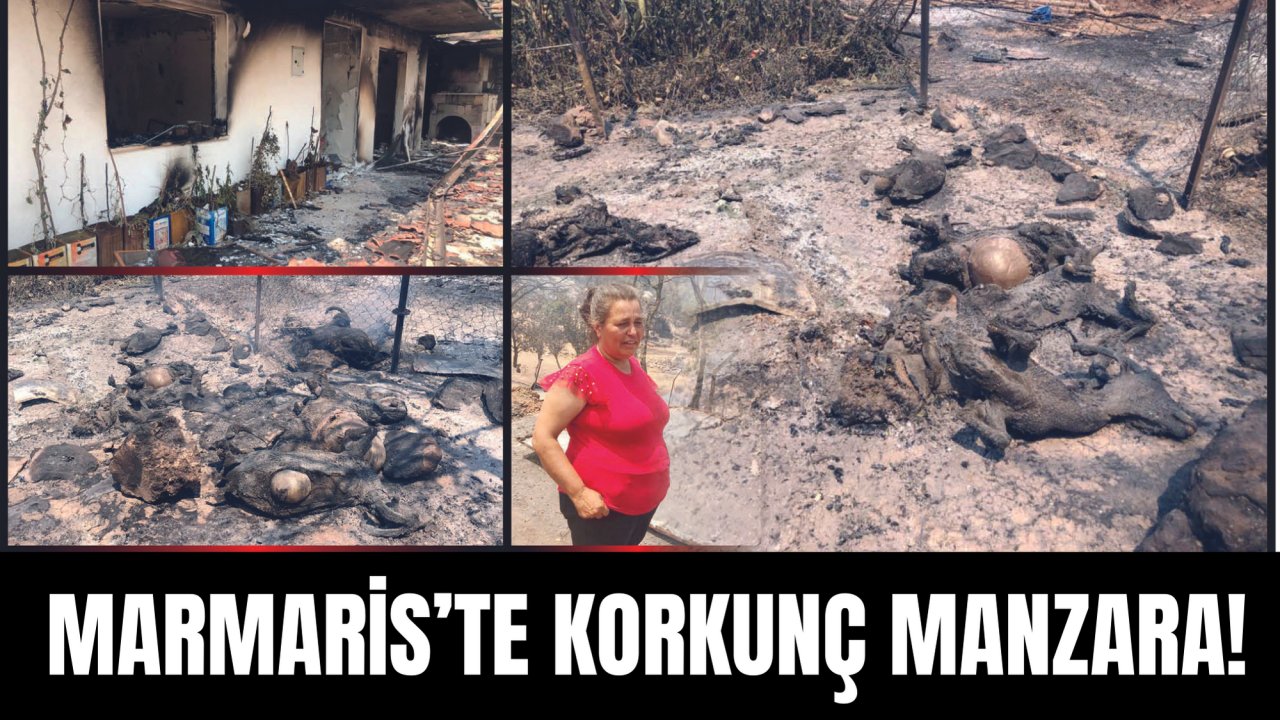 MARMARİS’TE KORKUNÇ MANZARA!