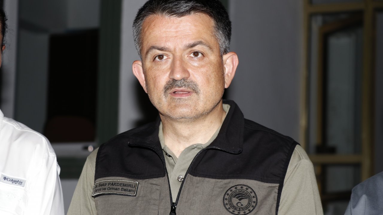 BAKAN PAKDEMİRLİ, MUĞLA'DA ORMAN YANGINLARI HAKKINDA BİLGİ VERDİ