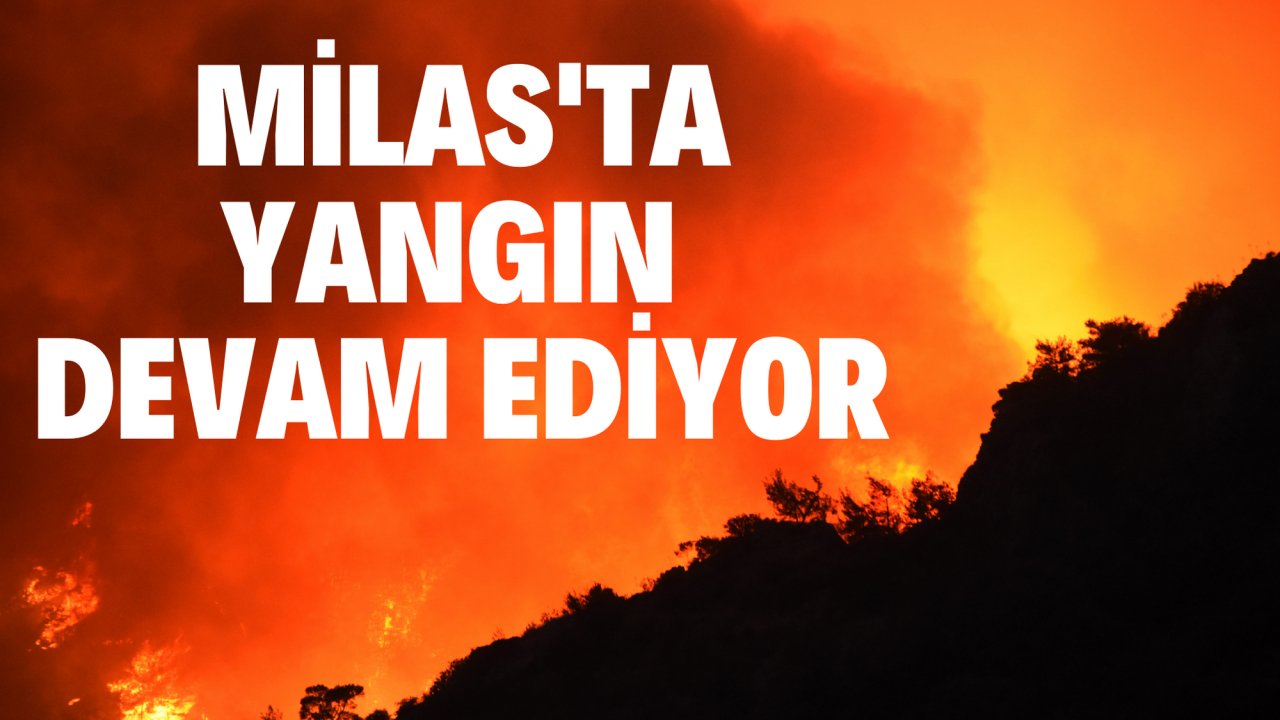 MİLAS'TA YANGIN DEVAM EDİYOR