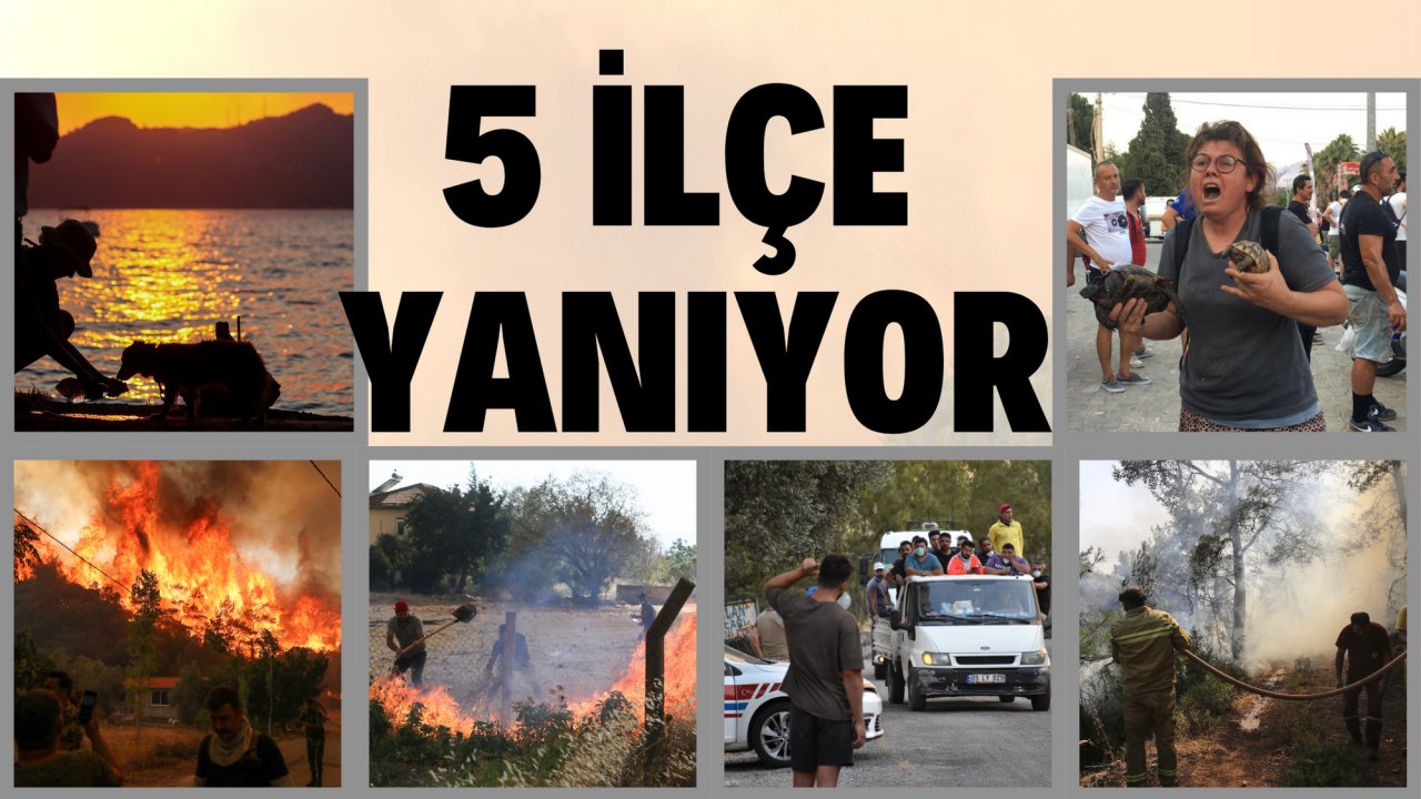 5 İLÇE YANIYOR