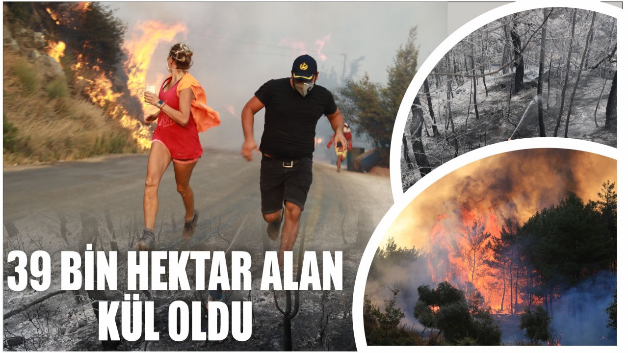 39 BİN HEKTAR ALAN KÜL OLDU
