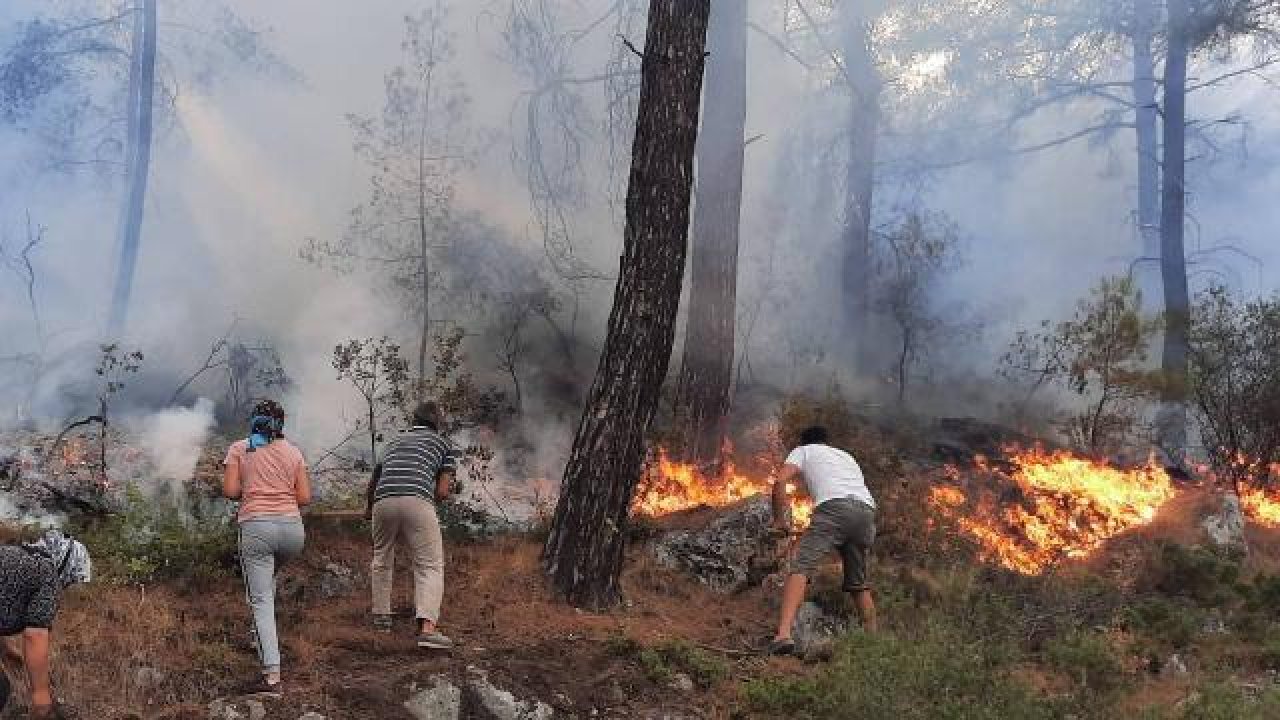 ÇÖKEK YANGINI KONTROL ALTINA ALINDI