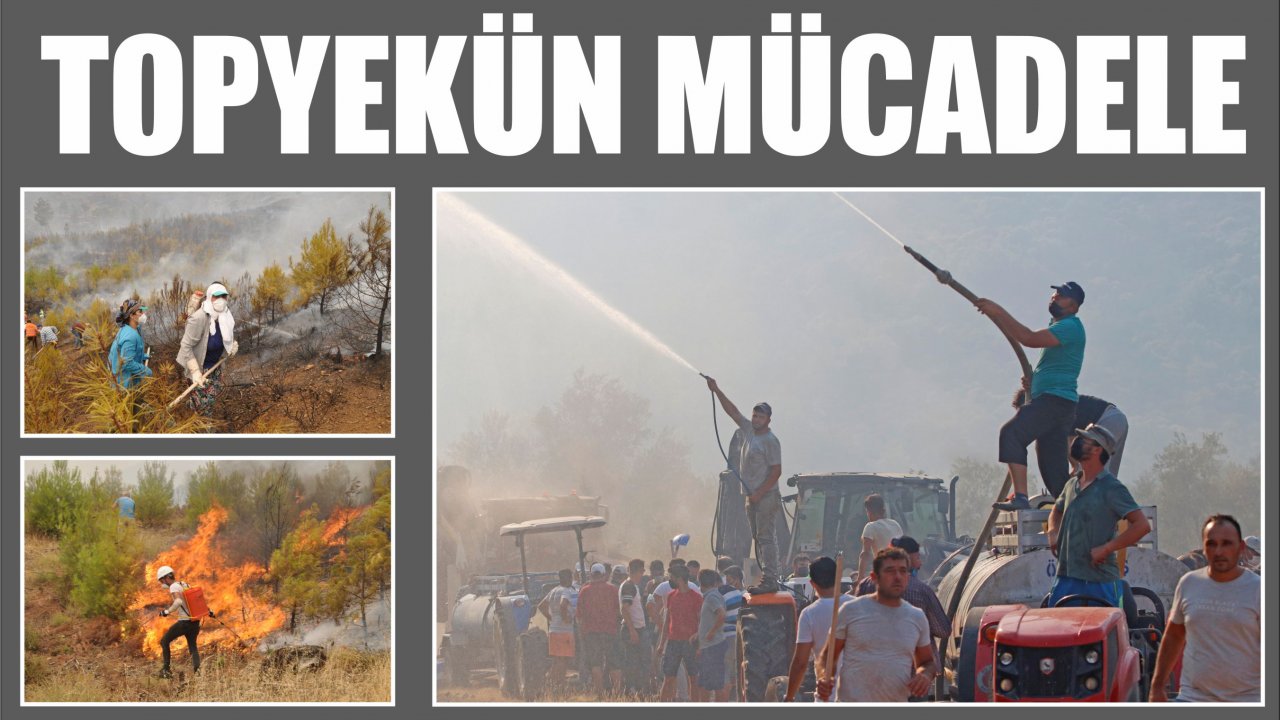 TOPYEKÜN MÜCADELE