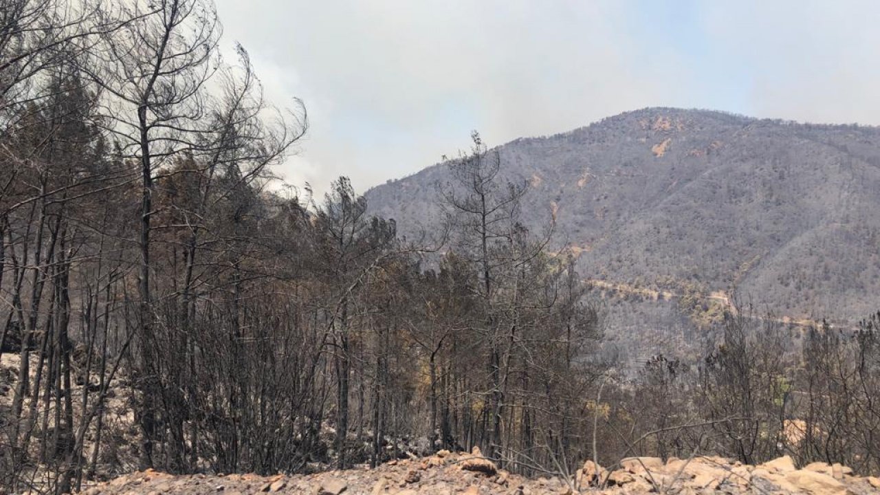 MARMARİS’İN YEŞİLİNİ ALEVLER YOK ETTİ