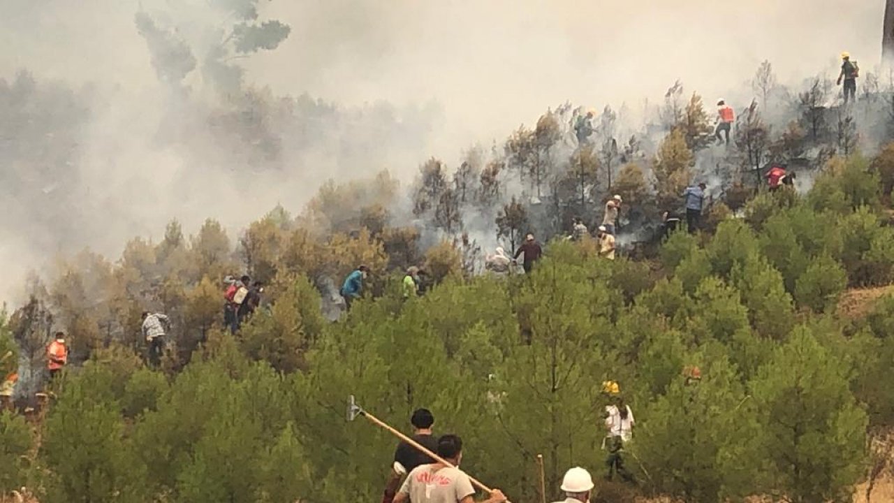 KÖYCEĞİZ’DE YANGINLA TOPYEKÜN MÜCADELE