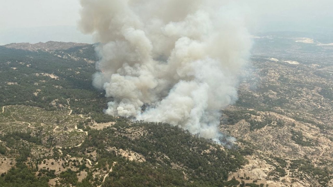 SON DAKİKA ||| YATAĞAN'DA ORMAN YANGINI ÇIKTI