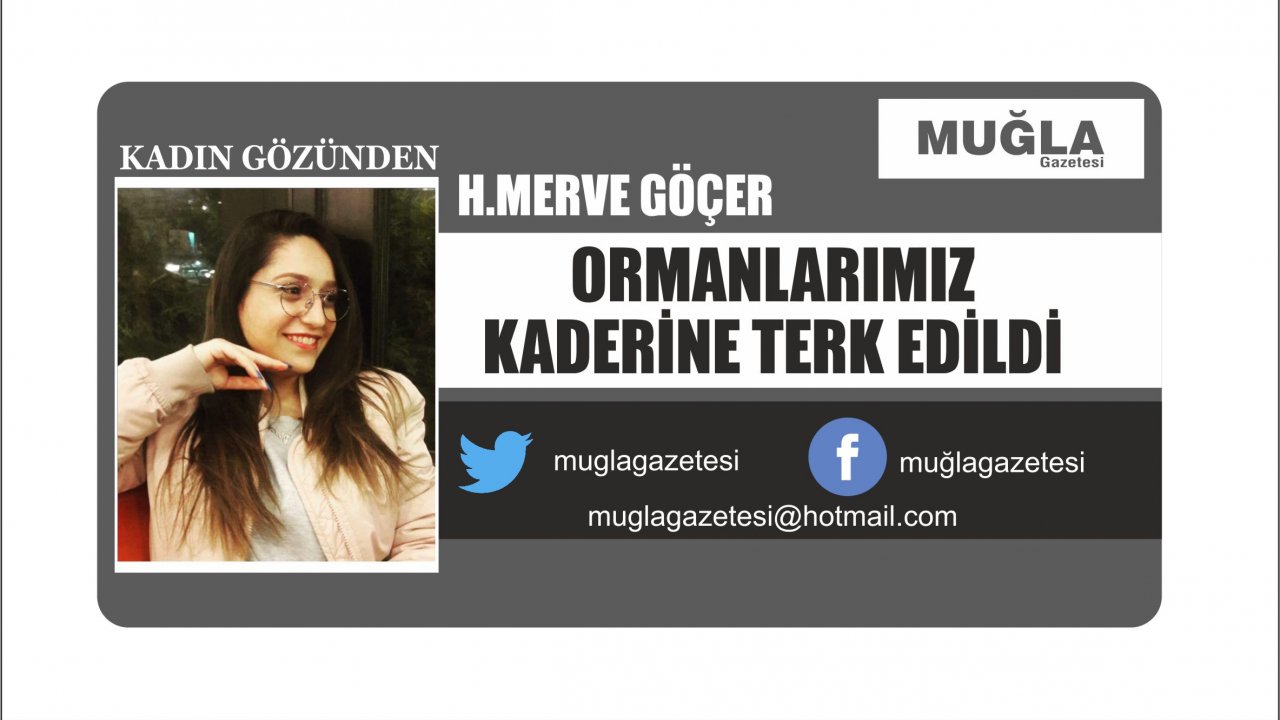 ORMANLARIMIZ KADERİNE TERK EDİLDİ