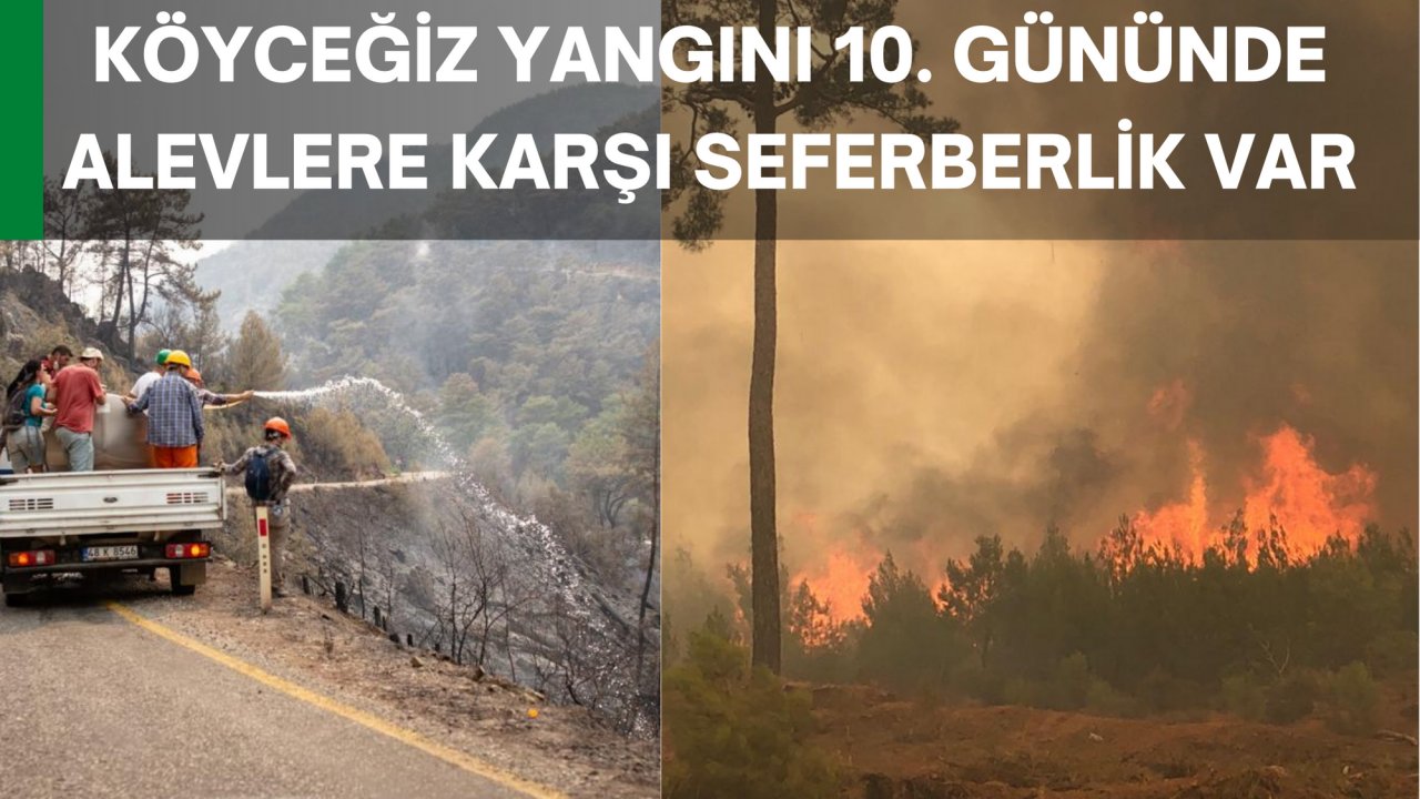 KÖYCEĞİZ YANGINI 10. GÜNÜNDE