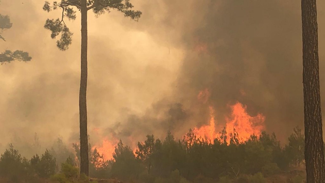 MUĞLA ORMAN YANGINLARI SON DURUM RAPORU