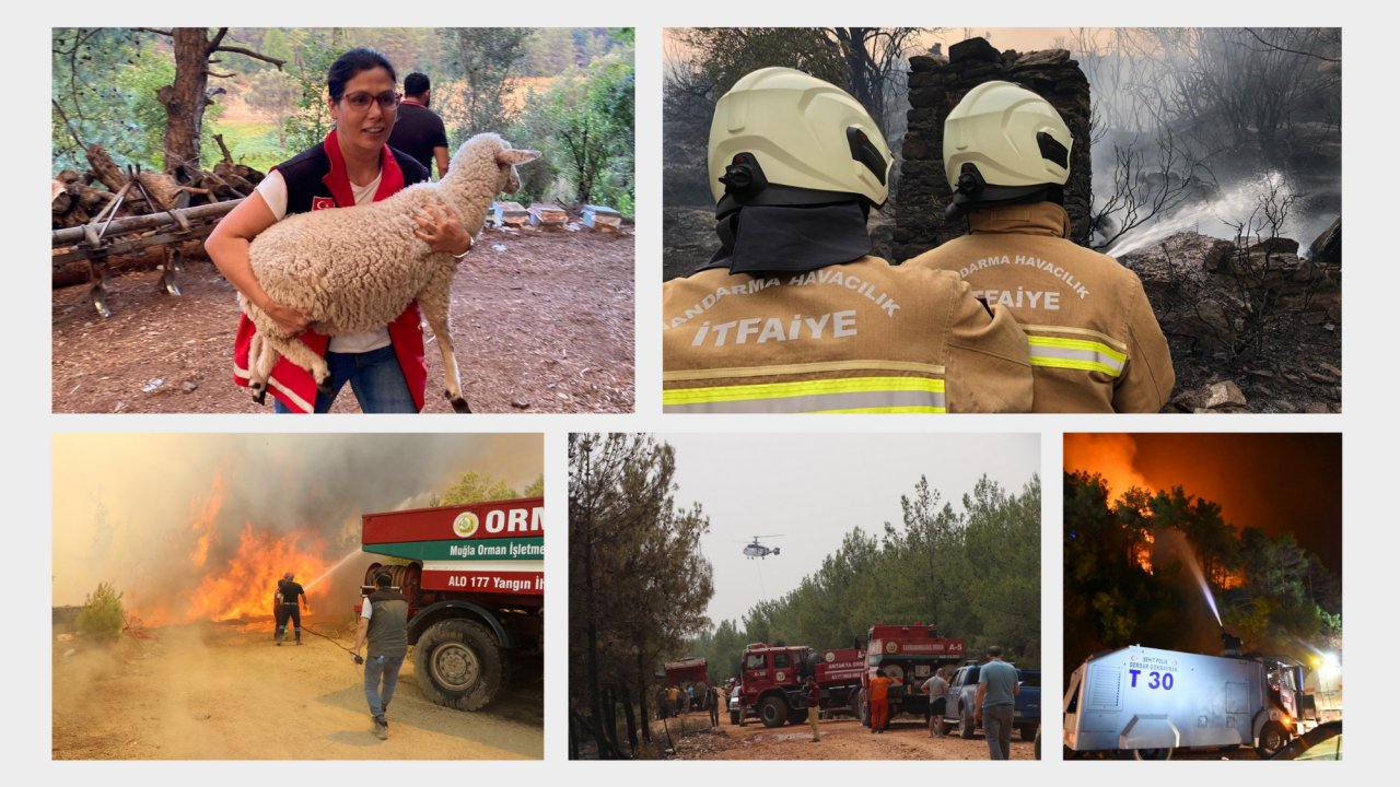 247 AİLEYE YARDIM SAĞLANDI