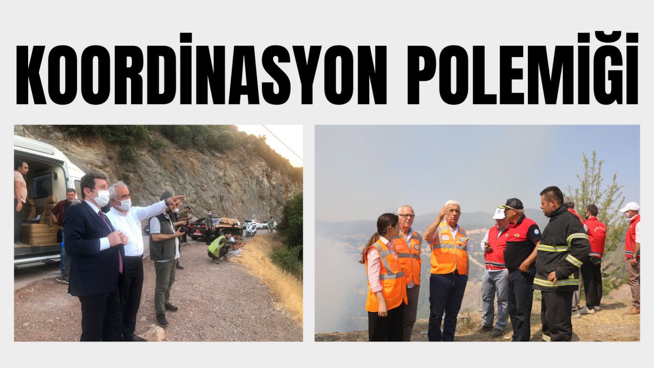 KOORDİNASYON POLEMİĞİ