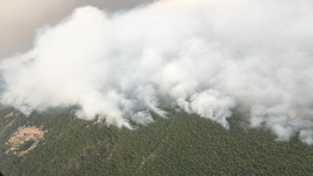MENTEŞE'DE ORMAN YANGINLARI KONTROL ALTINDA
