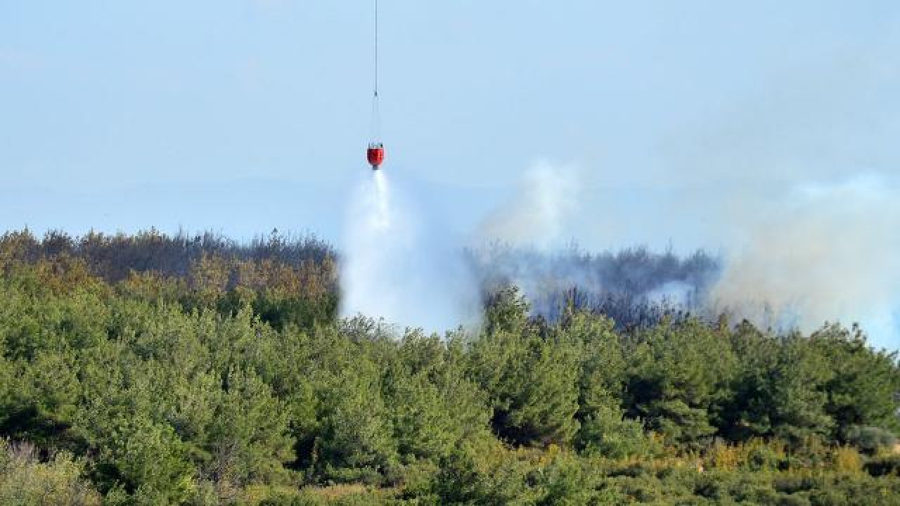BÜYÜK ORMAN YANGINLARININ TAMAMI SÖNDÜRÜLDÜ