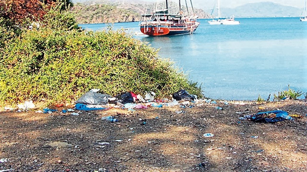 Koylar Çöplüğe Döndü