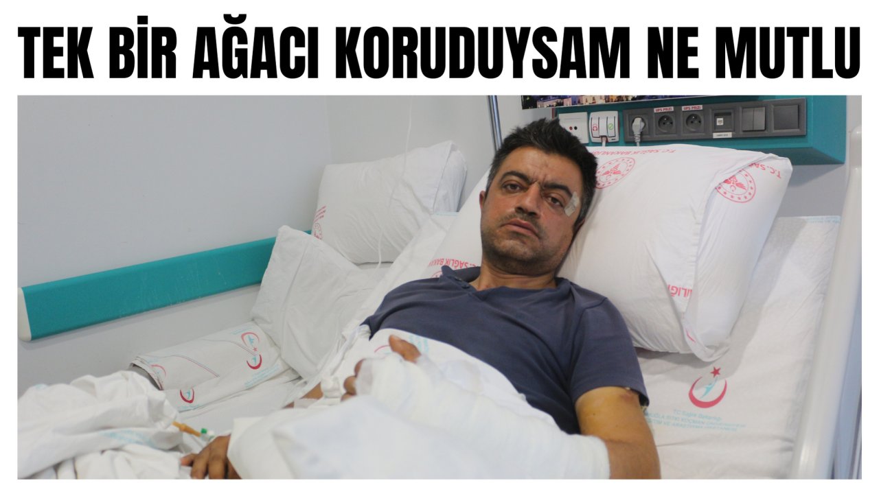 TEK BİR AĞACI KORUDUYSAM NE MUTLU