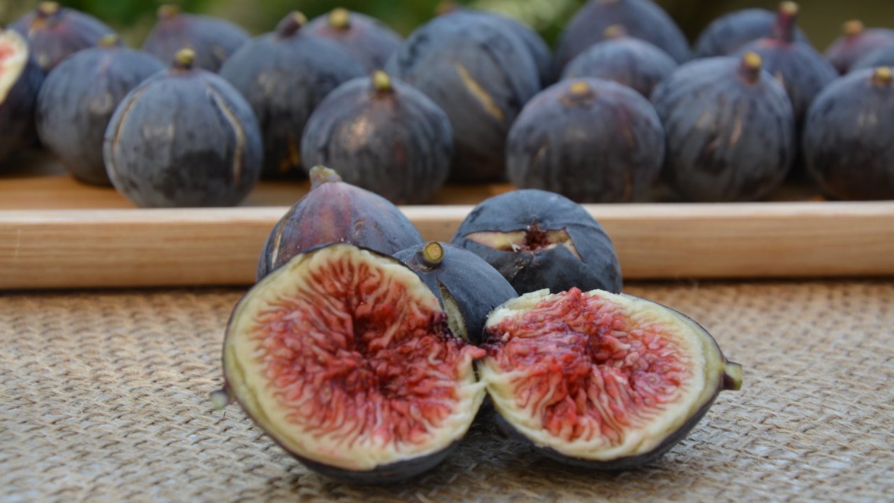 FETHİYE KAYA İNCİRİ ARTIK COĞRAFİ İŞARETLİ