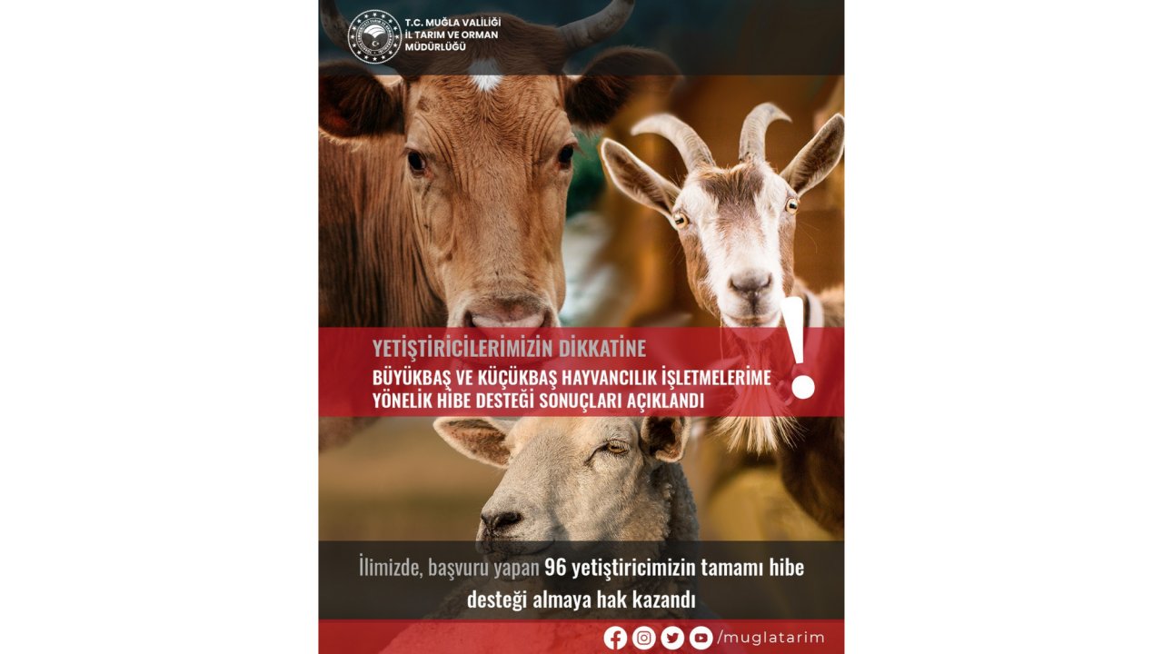 BAŞVURANLARIN TAMAMINA HİBE DESTEĞİ