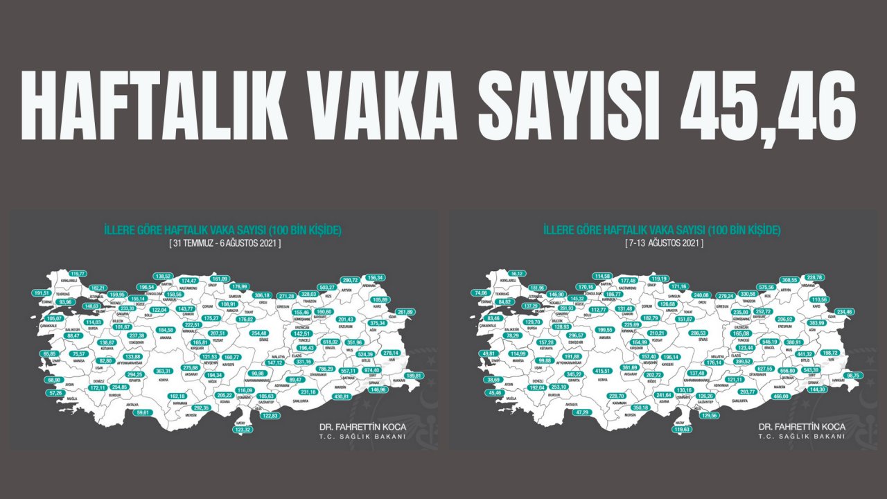 HAFTALIK VAKA SAYISI 45,46