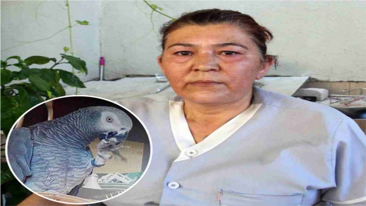 “Yakup”u bulana ödül