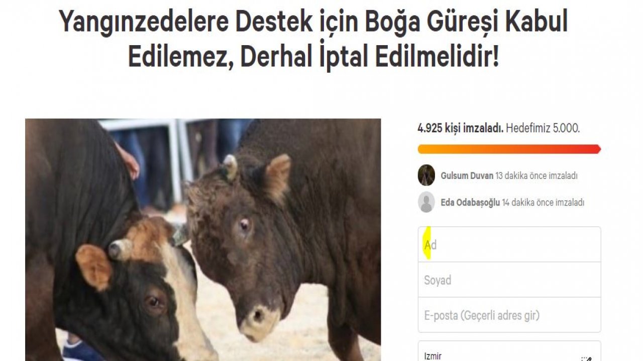 BOĞA GÜREŞİ TEPKİSİ