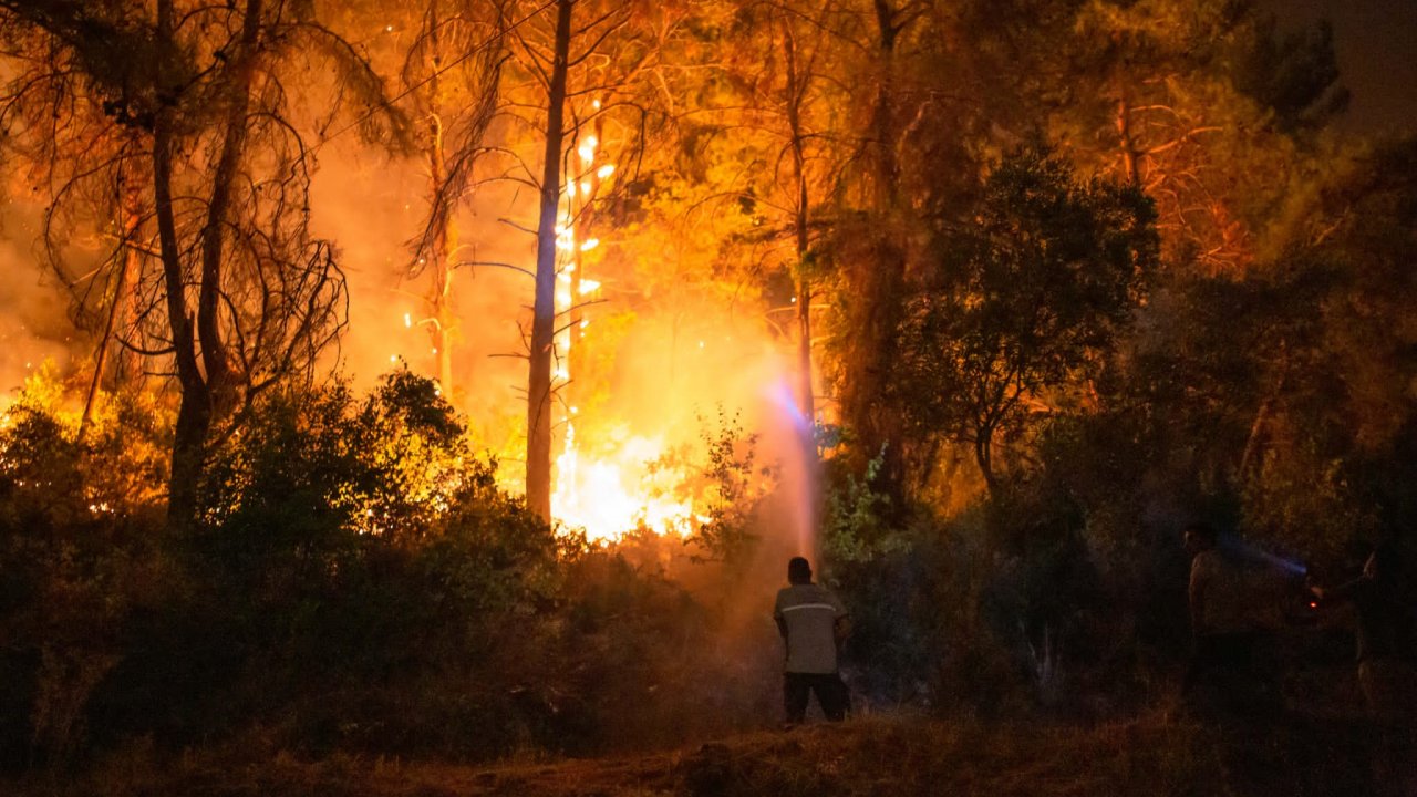 Vatan aşkıyla dayandık