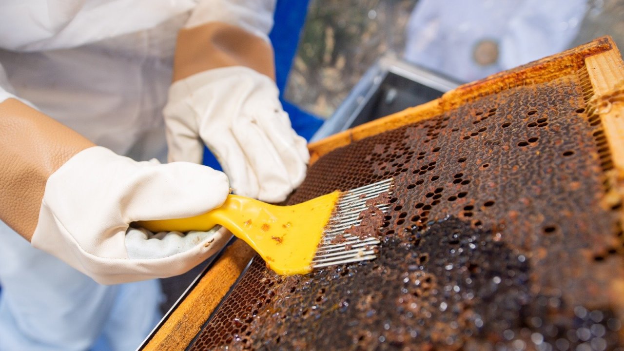 İzmir Büyükşehir Belediyesinden Muğla’daki üreticilere omuz