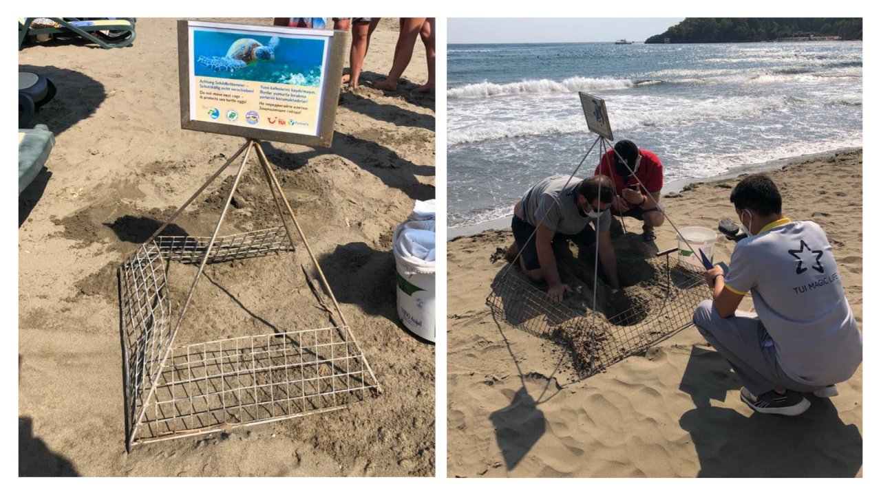 Caretta caretta yuvası kontrol altına alındı