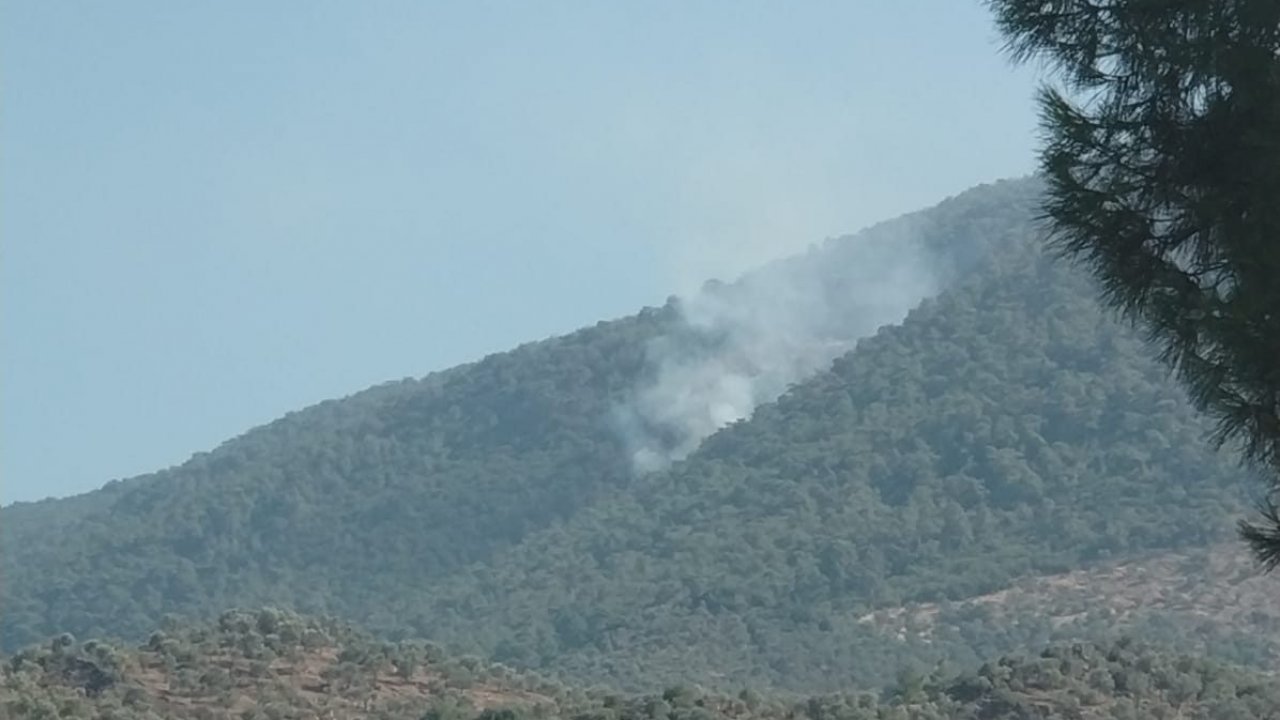 MİLAS BAFA'DA ORMAN YANGINI