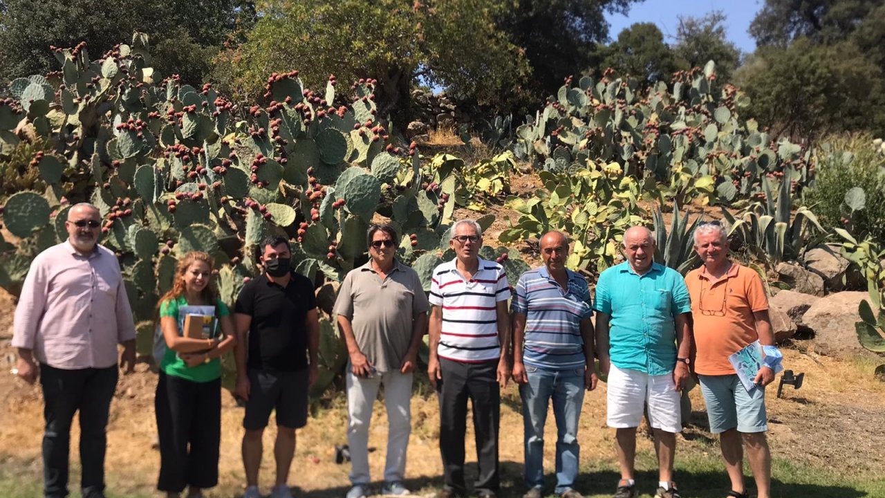 Bodrum'da organik tarım çalıştayı