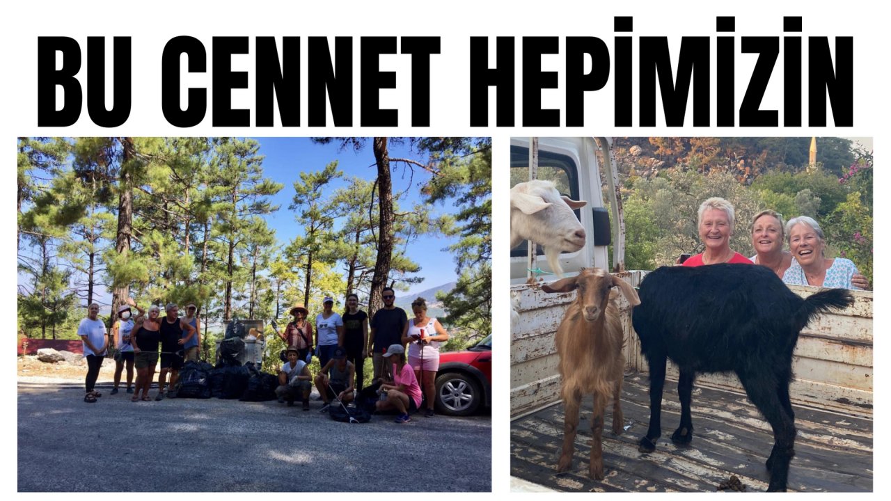 BU CENNET HEPİMİZİN