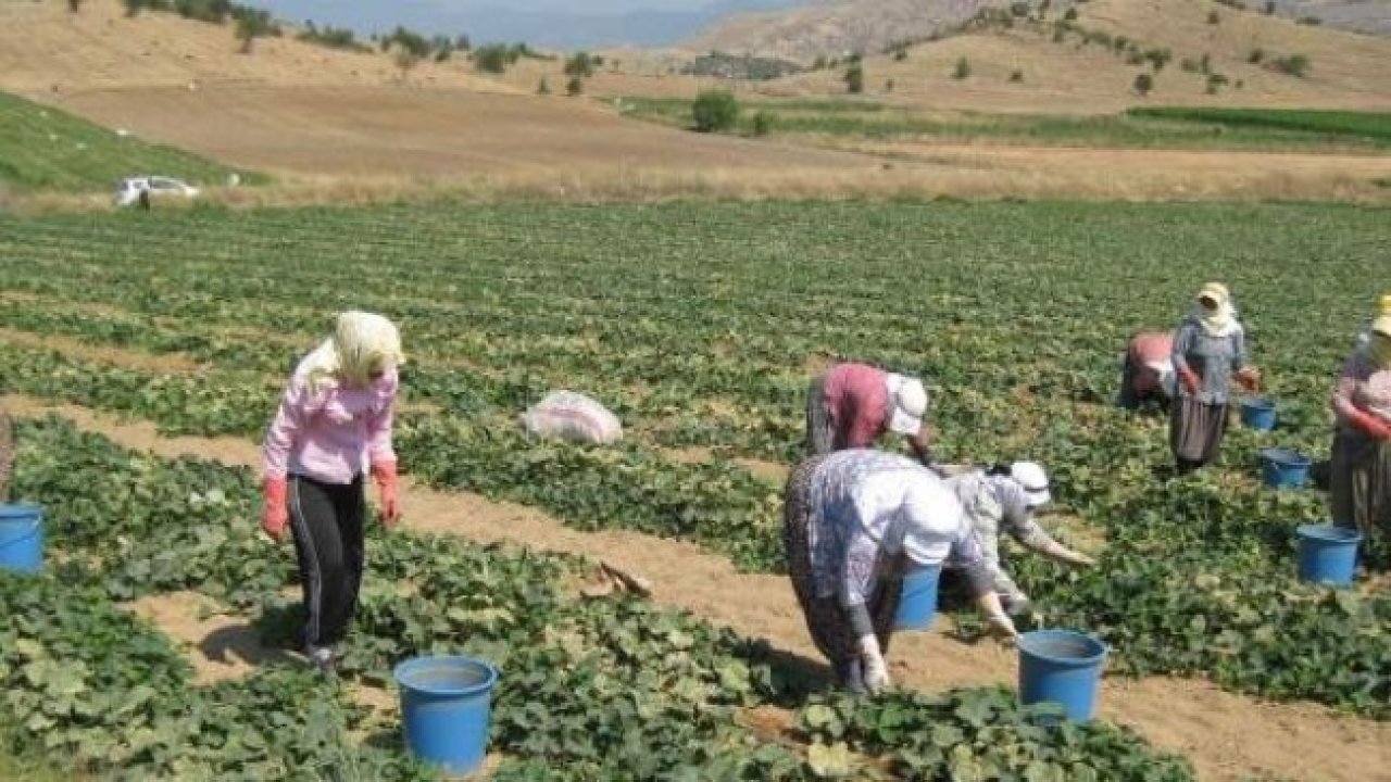 MUĞLA’DA YAĞIŞLAR AZALDI