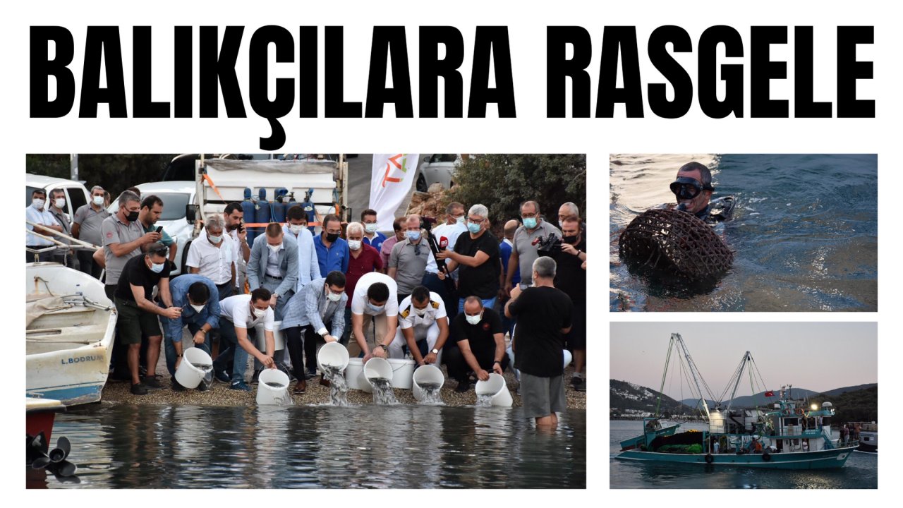 BALIKÇILARA RASGELE