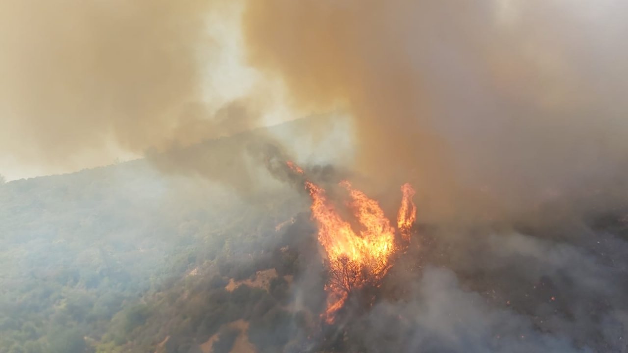 Muğla’da iki farklı noktada orman yangını