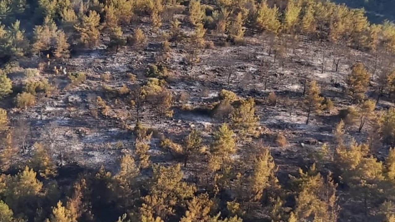 Bodrum’daki orman yangını büyümeden söndürüldü