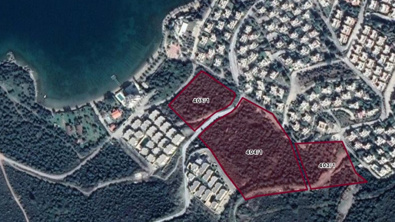 Güllük’te denize yakın ormanlık alanlara inşaat ihalesi