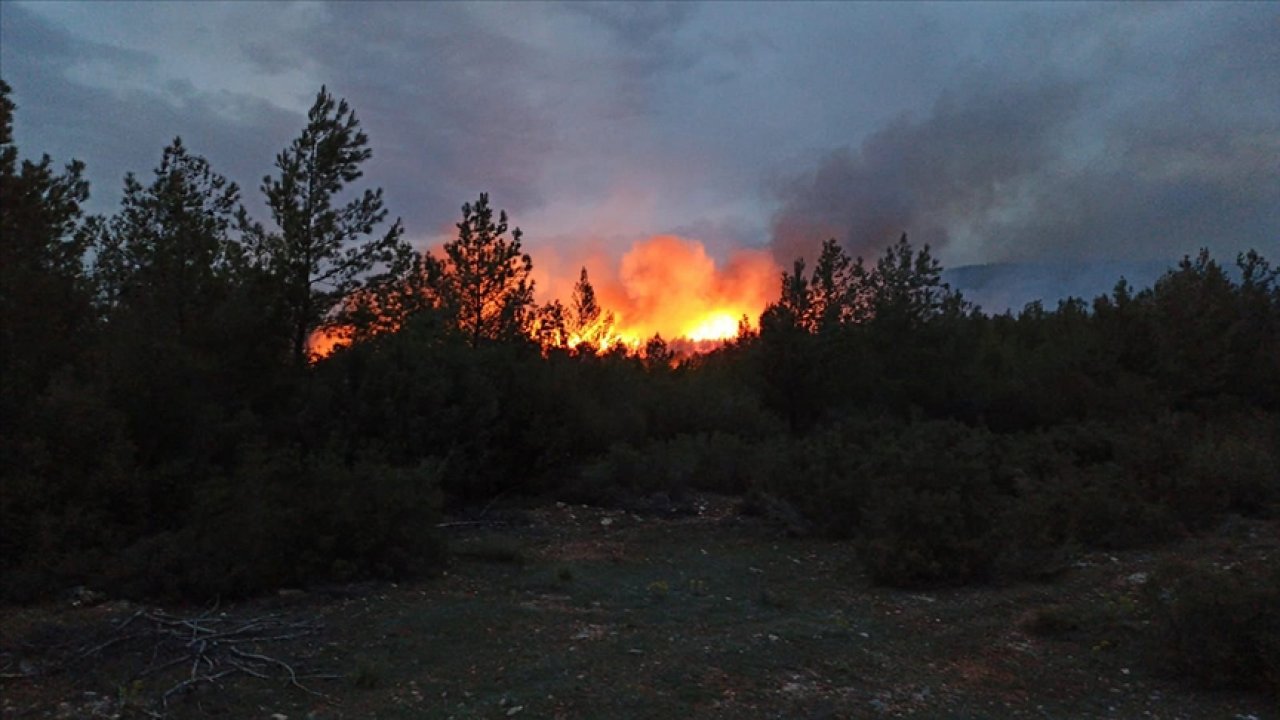 ORMANLARA GİRİŞ YASAĞI UZATILDI