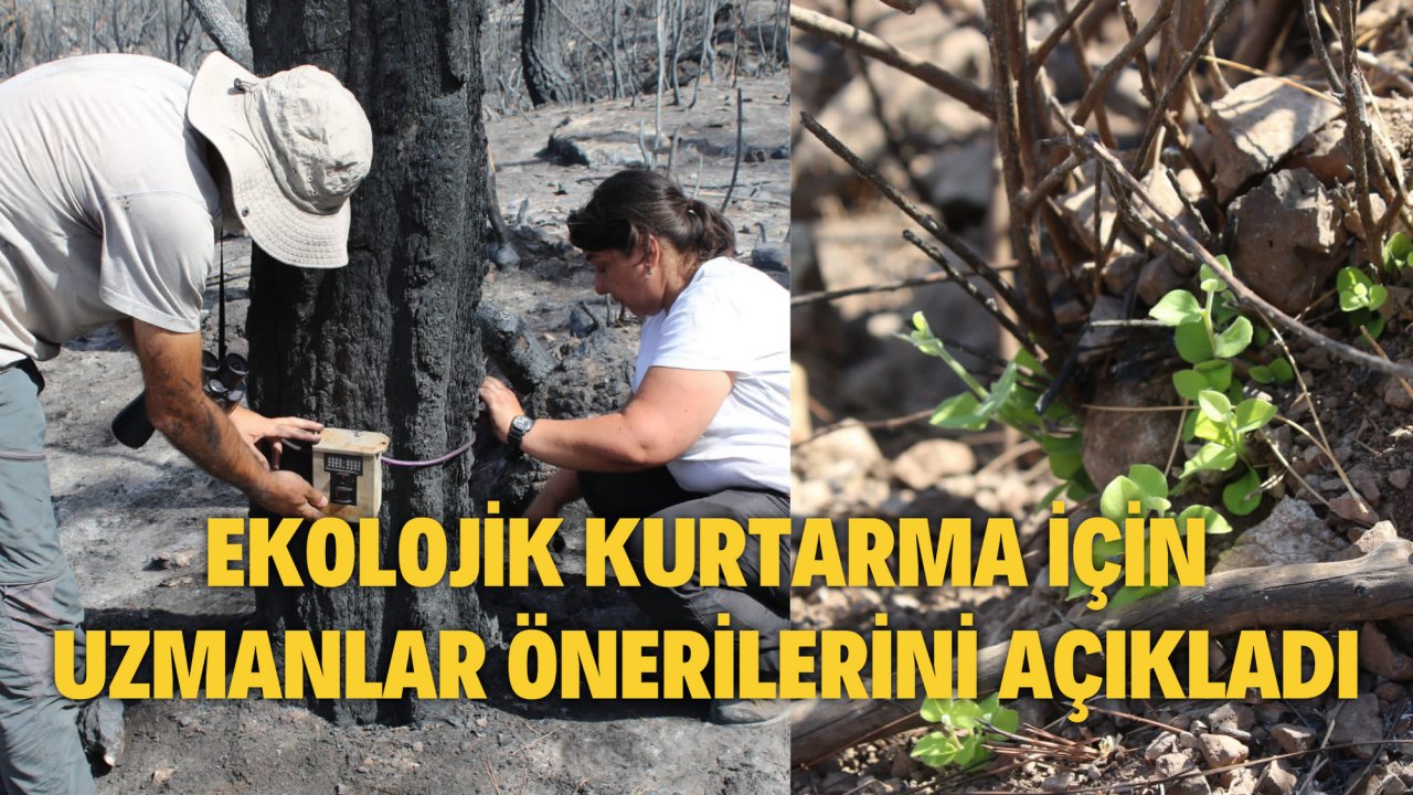 UZMANLAR EKOLOJİK KURTARMA İÇİN ÖNERİLERİNİ AÇIKLADI