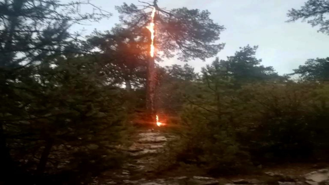 MUĞLA’DA 20 YILDIRIM YANGINI MEYDANA GELDİ