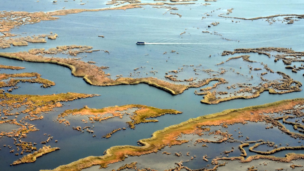 DALYAN SAZLIKLARINA TURİST AKINI