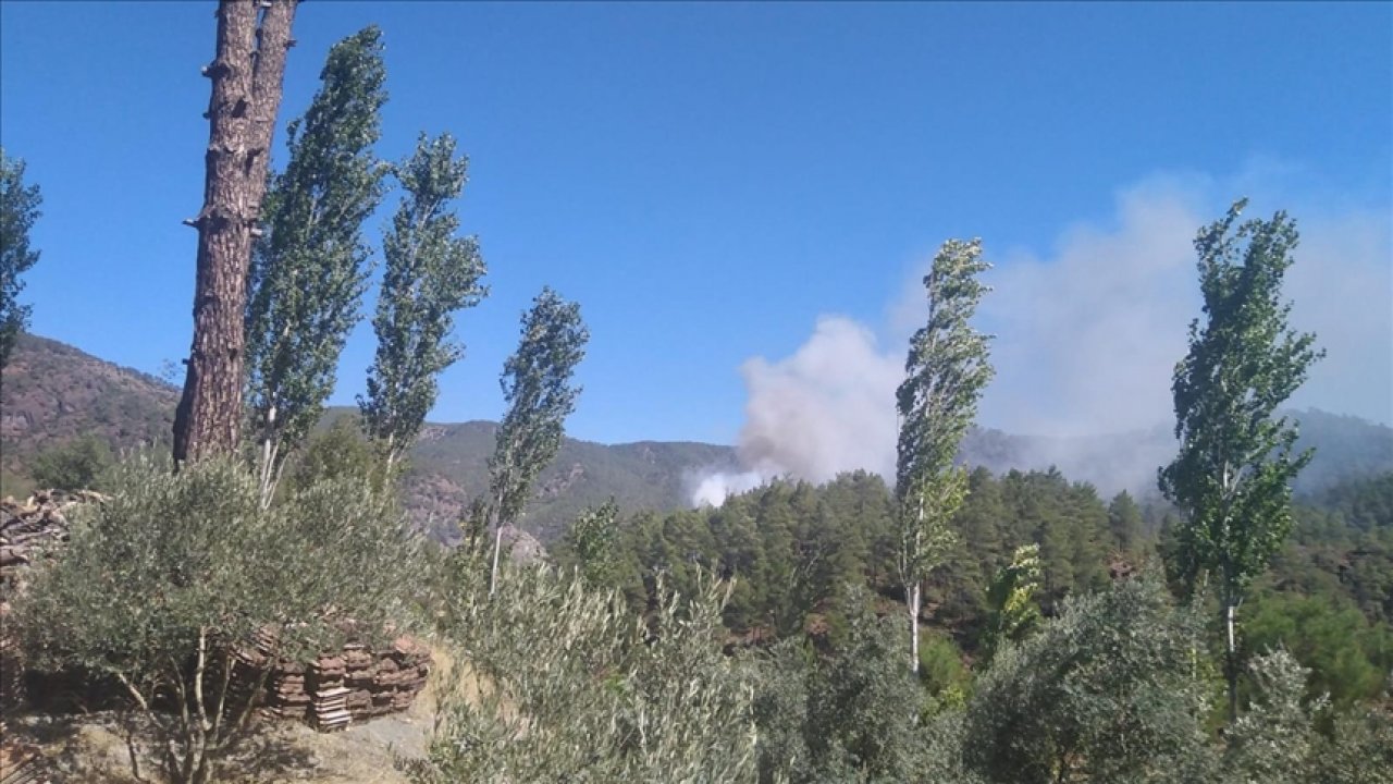 MENTEŞE’DE ÇIKAN ORMAN YANGINI KONTROL ALTINA ALINDI