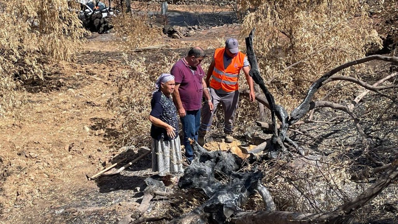 YANGINDA ZARAR GÖRMÜŞ AĞAÇLARIN GELİŞMESİ İÇİN ÇALIŞILIYOR
