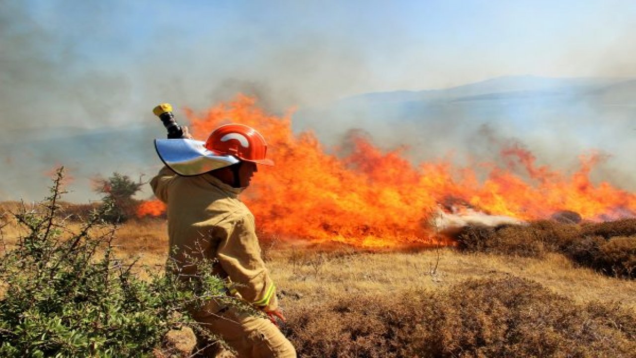 Bodrum'da ormanı yaktılar