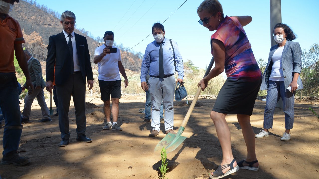 DOSTLUK ORMANINDA İLK FİDAN DİKİLDİ