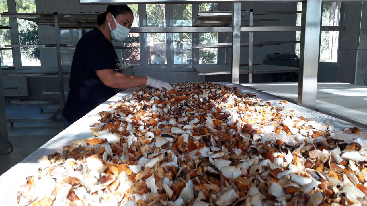 Su ürünleri ihracatının 500 milyon doları aşması bekleniyor