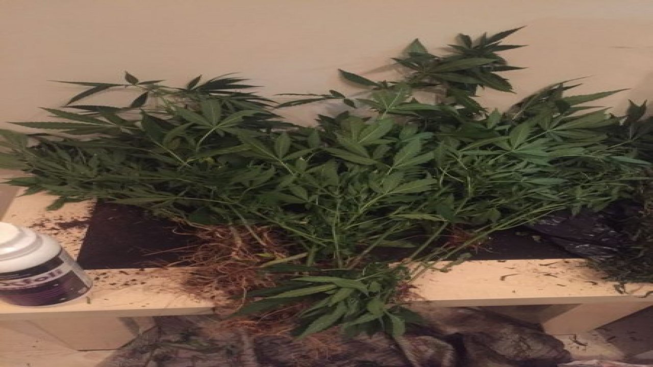 Marmaris’te 2,5 kilogram esrar ele geçirildi