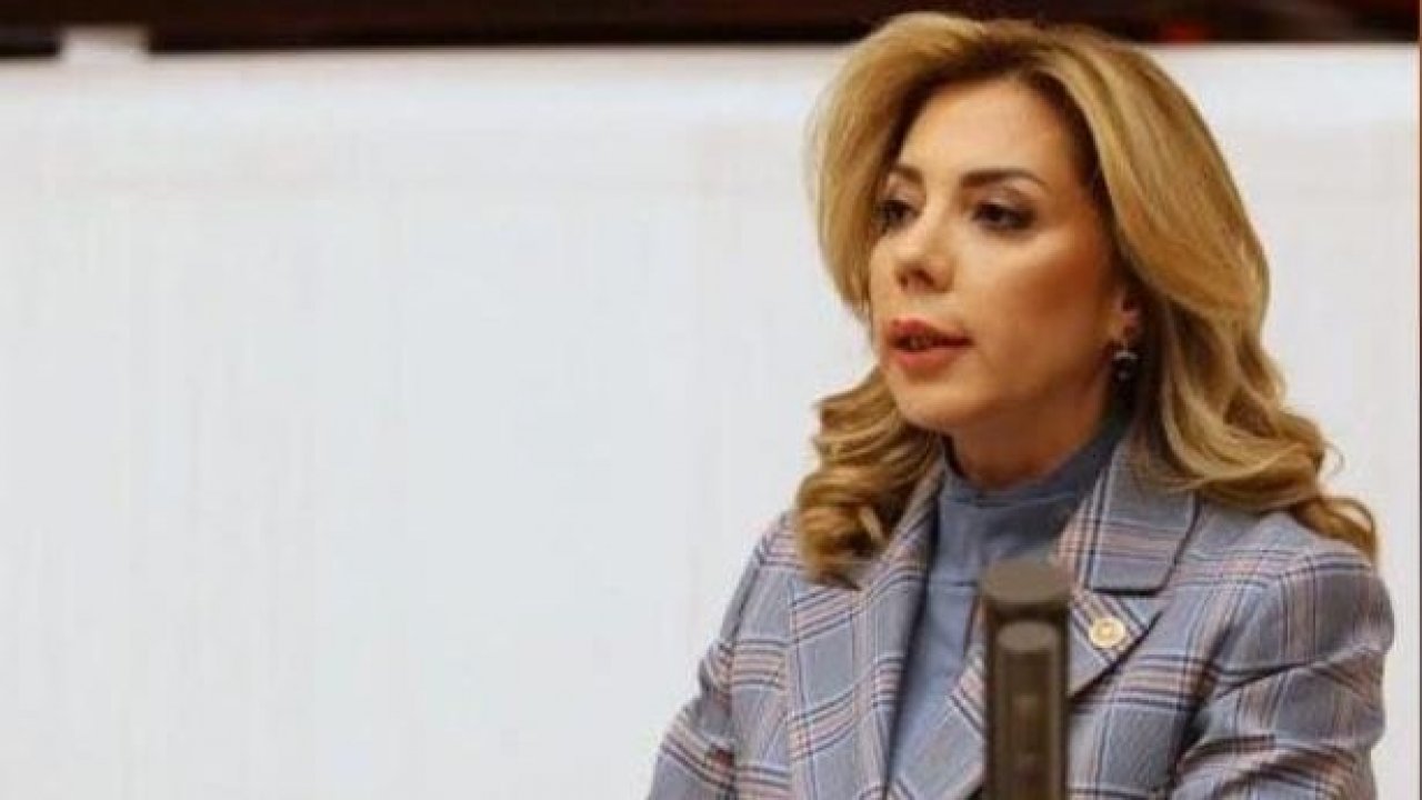 MİLLETVEKİLİ GÖKCAN: 