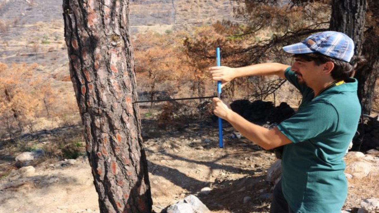 YANAN ALAN İNCELEMELERİNDE SONA YAKLAŞILDI