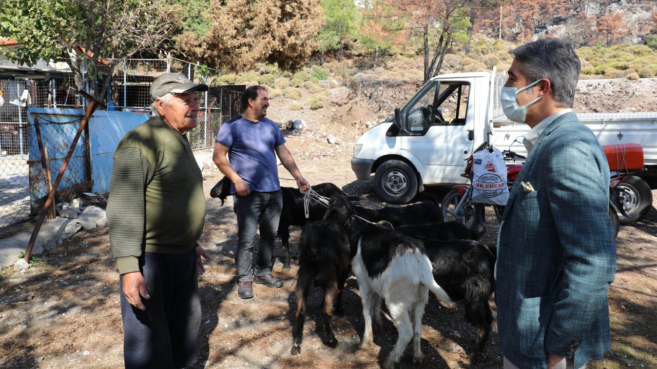 KÖYLÜLERE KEÇİ DAĞITILDI