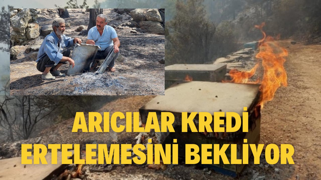 ARICILAR KREDİ ERTELEMESİNİ BEKLİYOR
